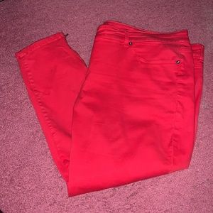 Plus size petite red stretchy pants